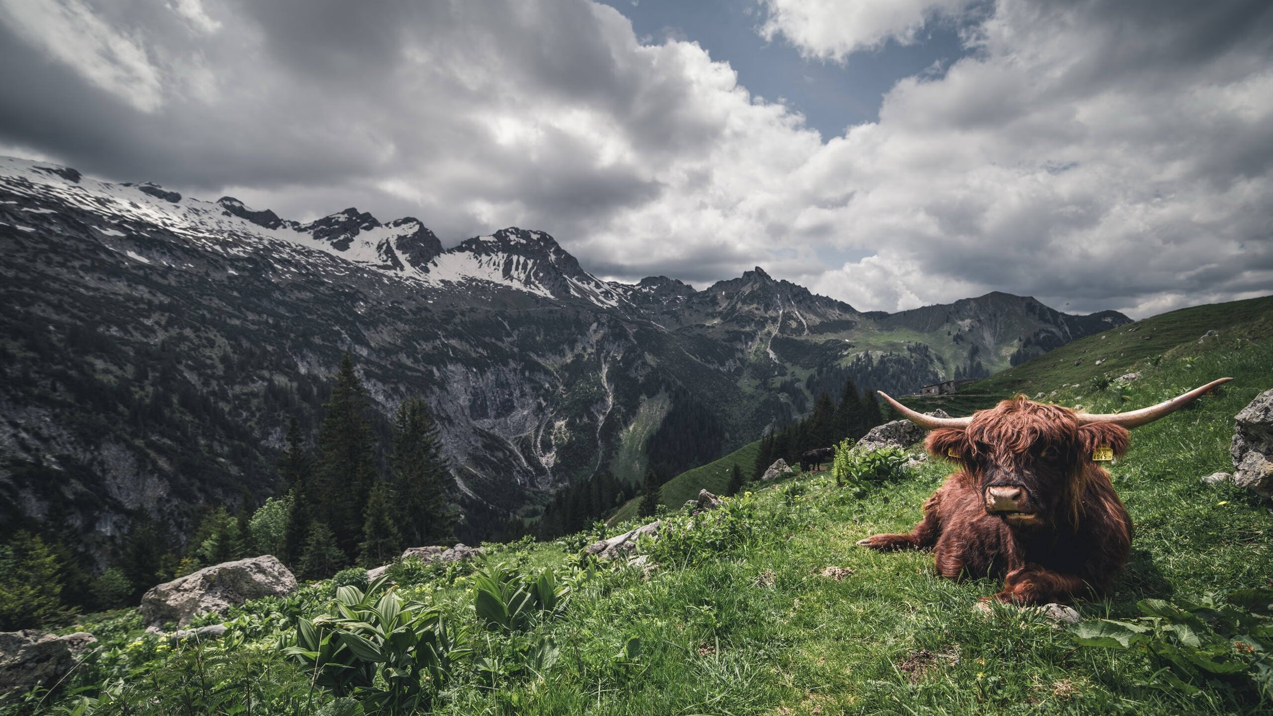 爱游戏电竞-体育课程对学生心理韧性影响的长期跟踪分析，体育课对学生影响及帮助,心得体会