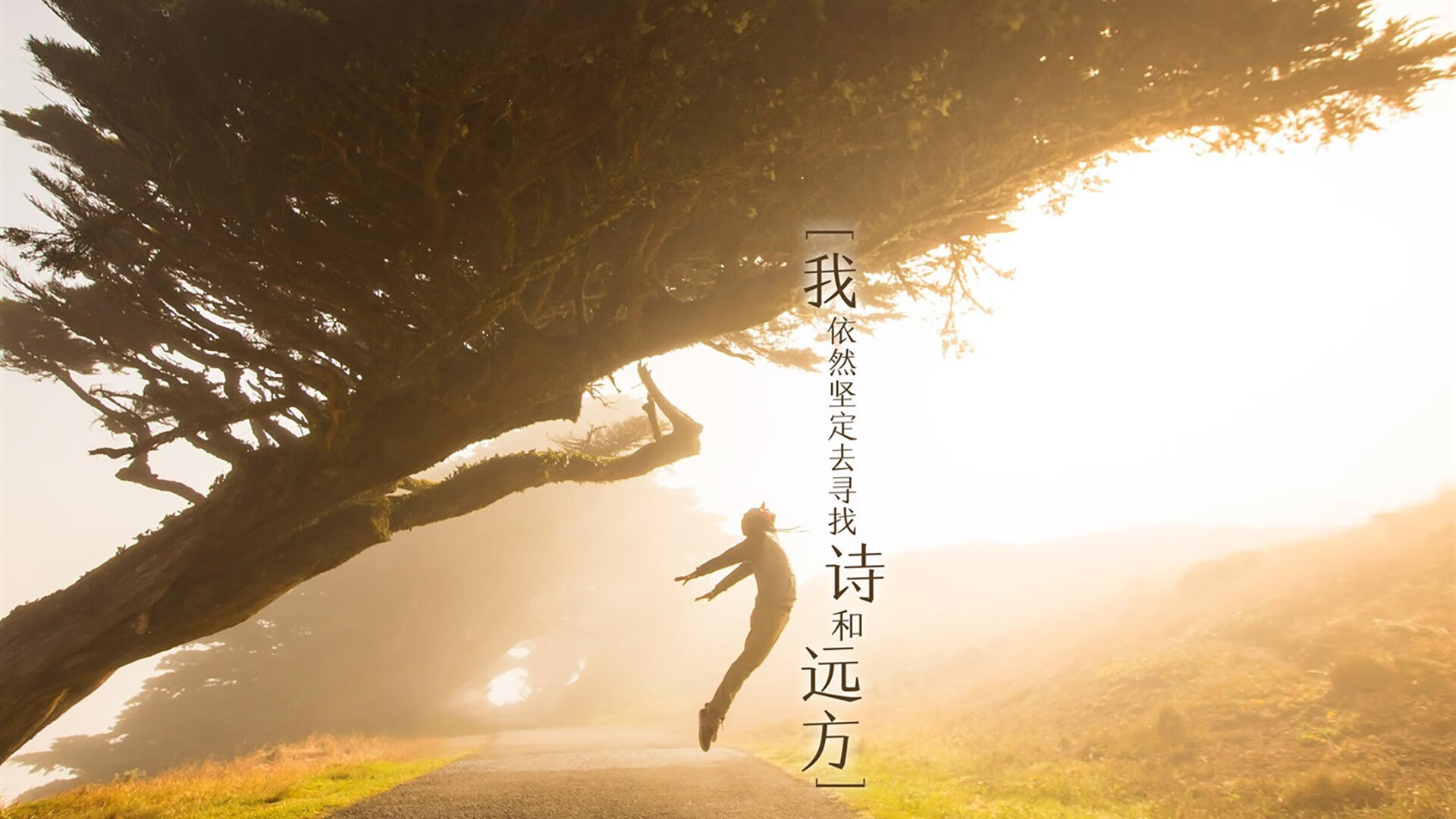 爱游戏全站注册-意甲球队视频分析系统提升防守协同效率的案例研究，意甲技术统计